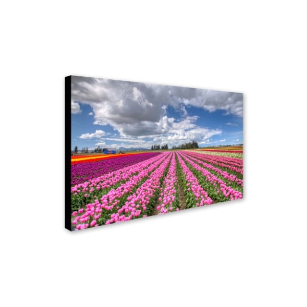 Pierre Leclerc 'Tulip Field' Canvas Art,12x19